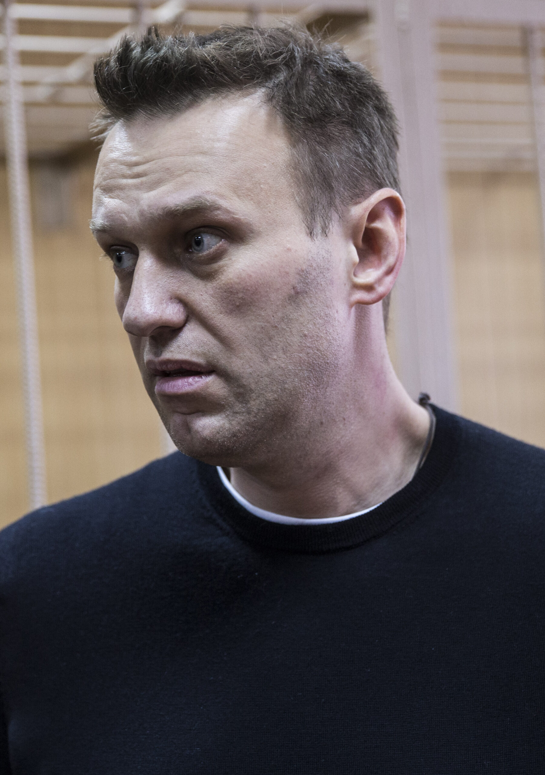 Alexei Navalny in court, 2017